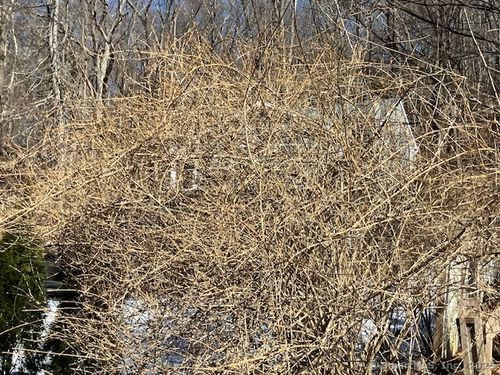 1 Parsons Drive, Waterbury, CT, 06708 | Card Image