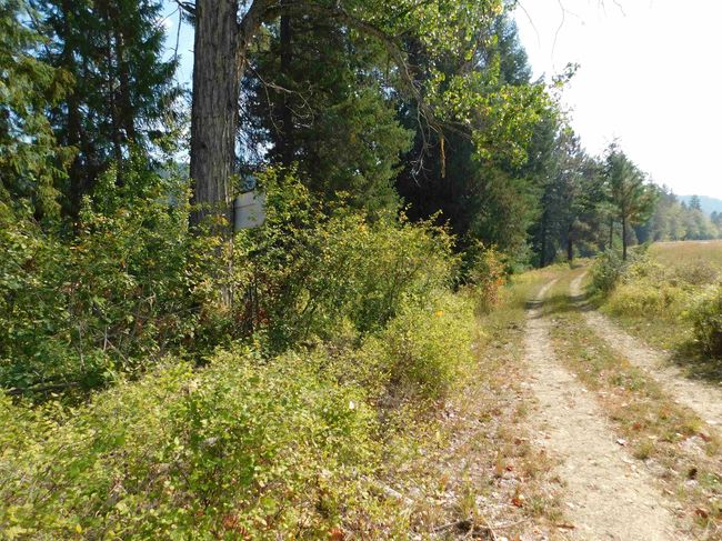 Lot 3 Highway 20 Hwy, Home with 0 bedrooms, 0 bathrooms and null parking in Cusick WA | Image 13