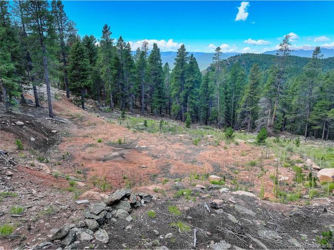 11275 Bear Run Trl, Home with 0 bedrooms, 0 bathrooms and null parking in Conifer CO | Image 11