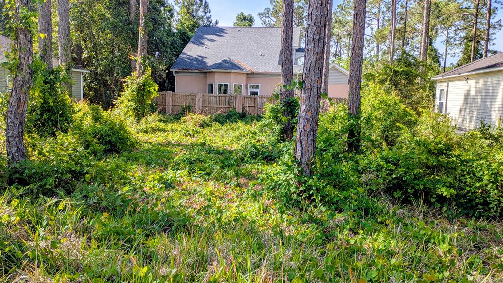 Land in Carrabelle 5
