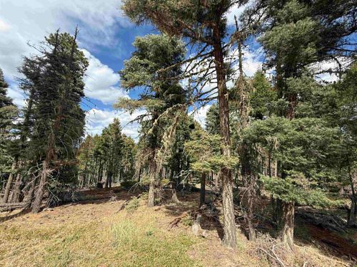 Lot 28 Calle De Los Indios, Angel Fire, NM, 87710 | Card Image