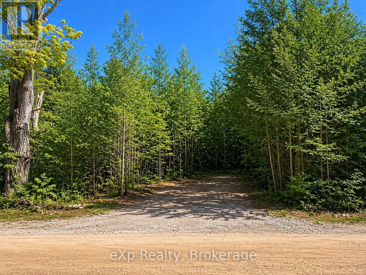 Land in West Grey 2