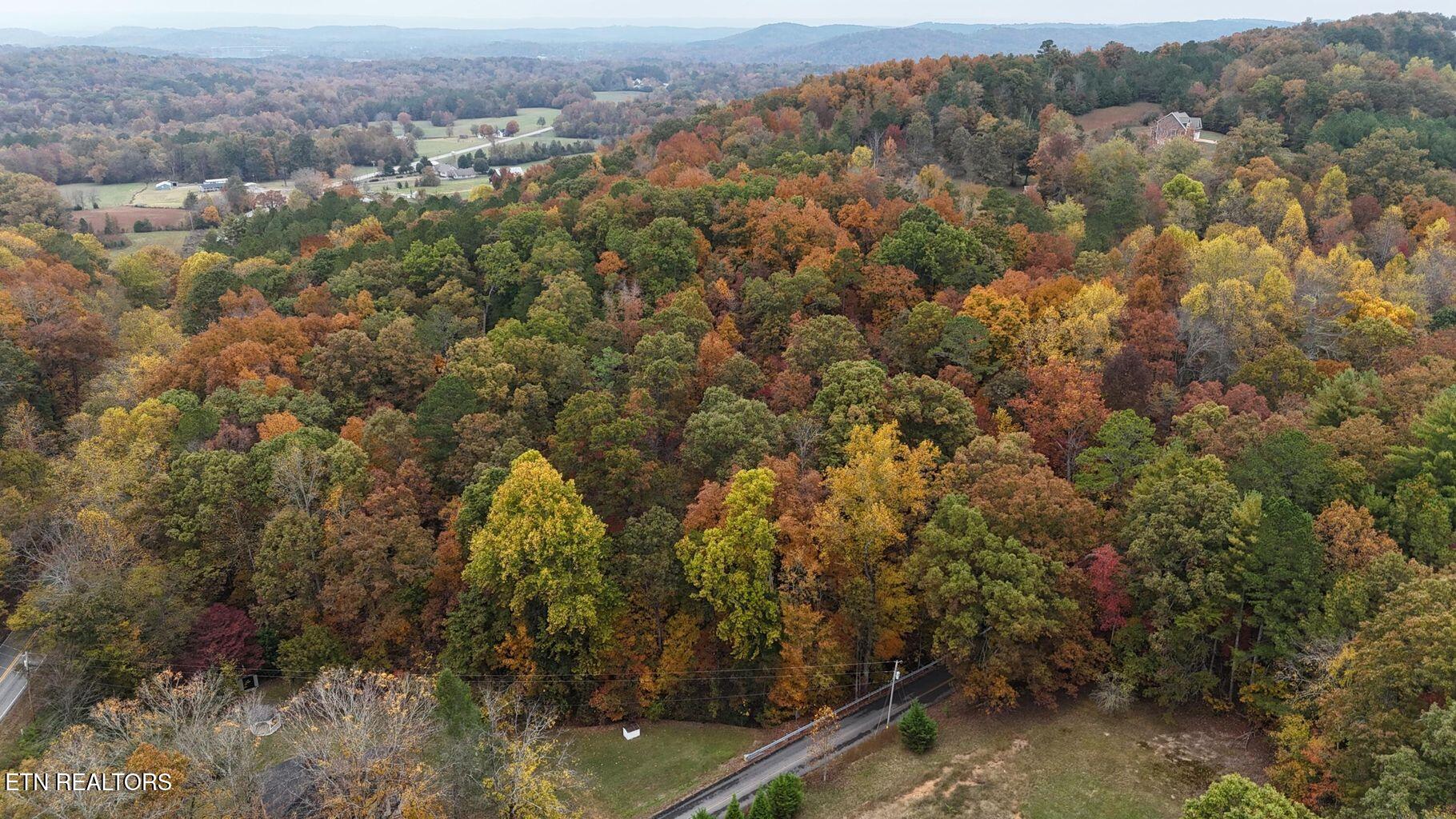 Land in Georgetown