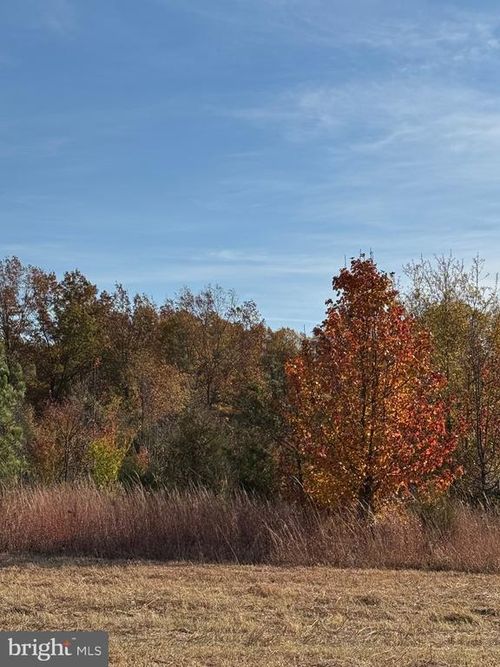 0 Baines Corner Rd, BEALETON, VA, 22712 | Card Image