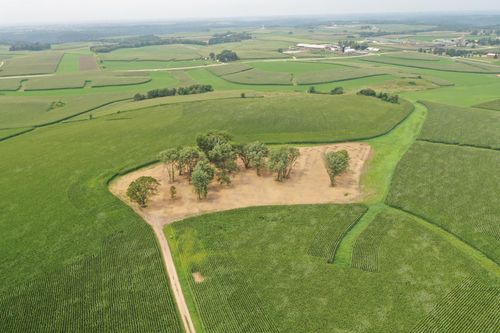 TBD County Road 27, Altura, MN, 55910 | Card Image
