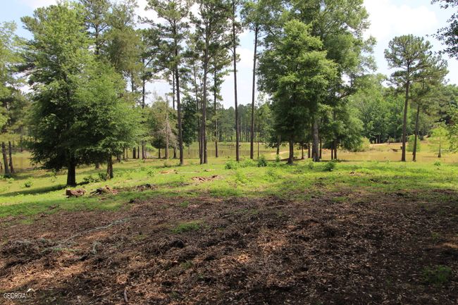 507 Js Mcleod Jr Way, House other with 6 bedrooms, 4 bathrooms and null parking in Blakely GA | Image 94