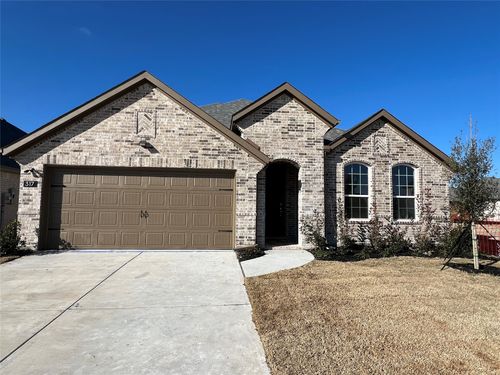 317 Tartane Dr, Anna, TX, 75409-5784 | Card Image