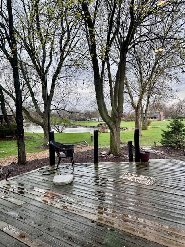 25002 W Mary Ln, House other with 3 bedrooms, 3 bathrooms and 2 parking in Plainfield IL | Image 17