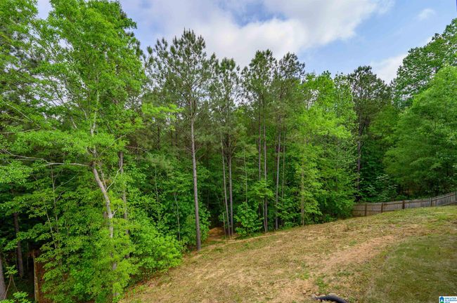 1025 Willow Branch Trl, House other with 4 bedrooms, 5 bathrooms and null parking in CHELSEA AL | Image 55