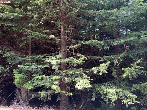 00 Shelley Rd, Coquille, OR, 97423 | Card Image