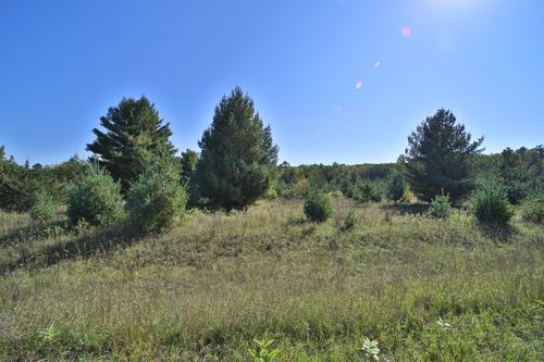 TBD Partridge Ct, Browerville, MN, 56438 | Card Image