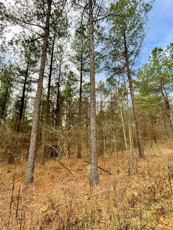 Land in Broken Bow 4