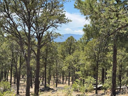 Lot 20 Dancing Hawk Dr, Pecos, NM, 87552-2587 | Card Image
