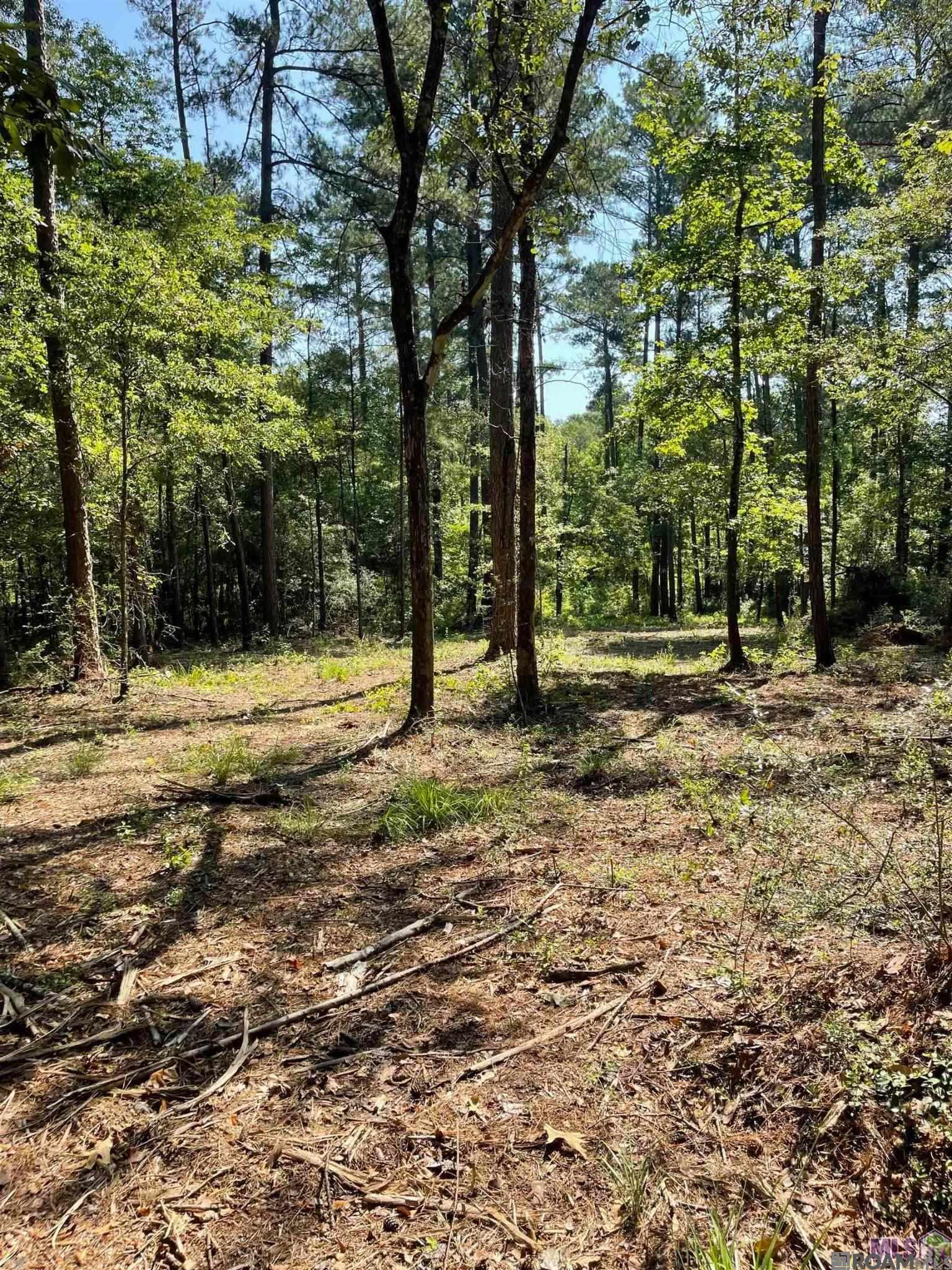 Land in Clinton 4