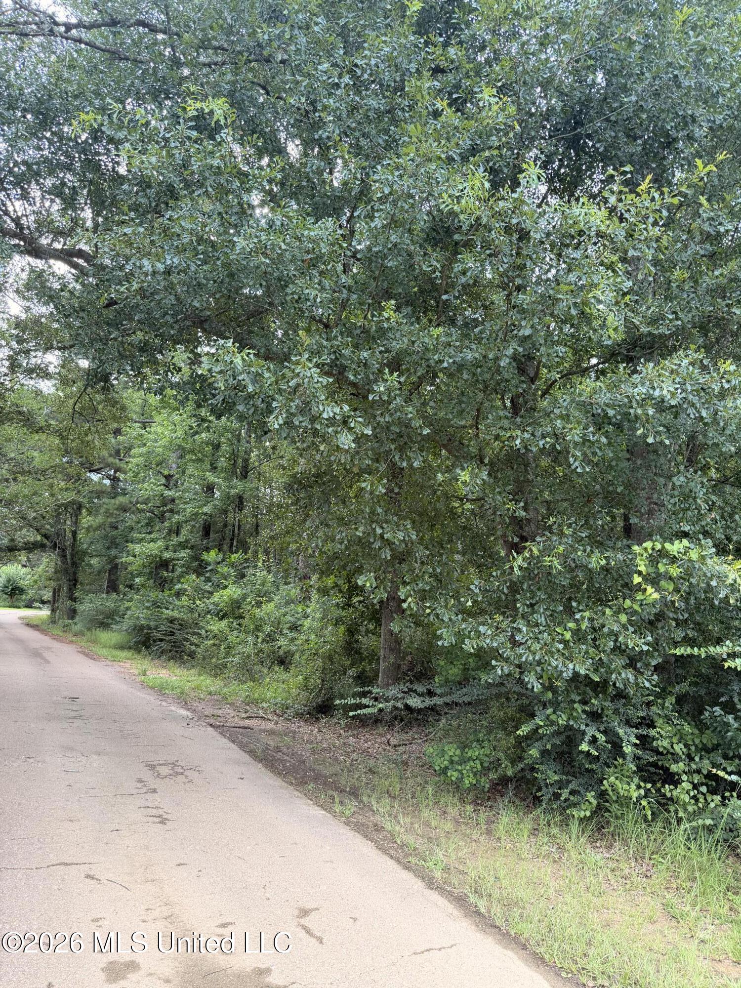 Land in McComb 3