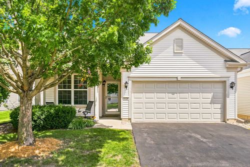 11724 Tanglewood Ln, Huntley, IL, 60142-6313 | Card Image