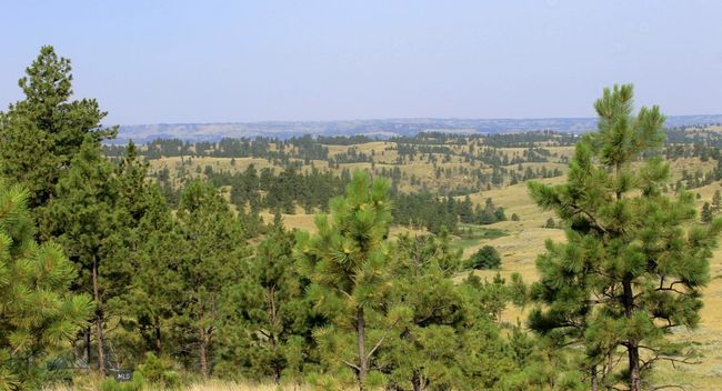 SC-28 - TBD Lone Rock Canyon Lane, Home with 0 bedrooms, 0 bathrooms and null parking in Hysham MT | Image 26