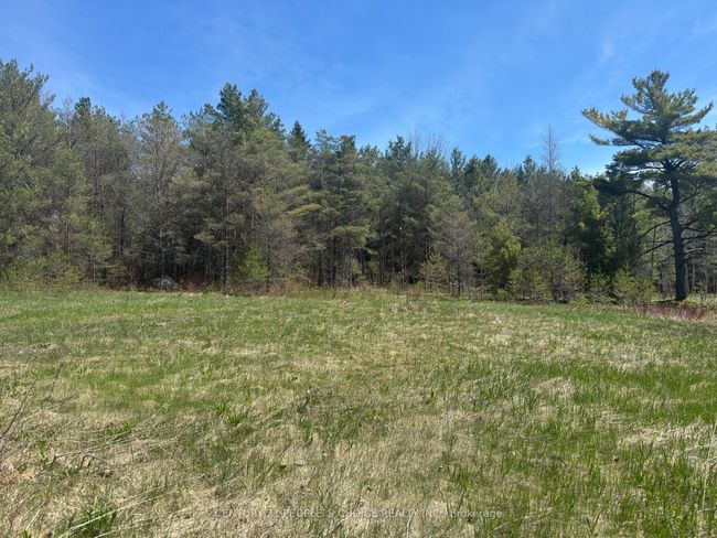 6081 Hwy 89, Clifford Road, Home with 0 bedrooms, 0 bathrooms and null parking in Minto ON | Image 13