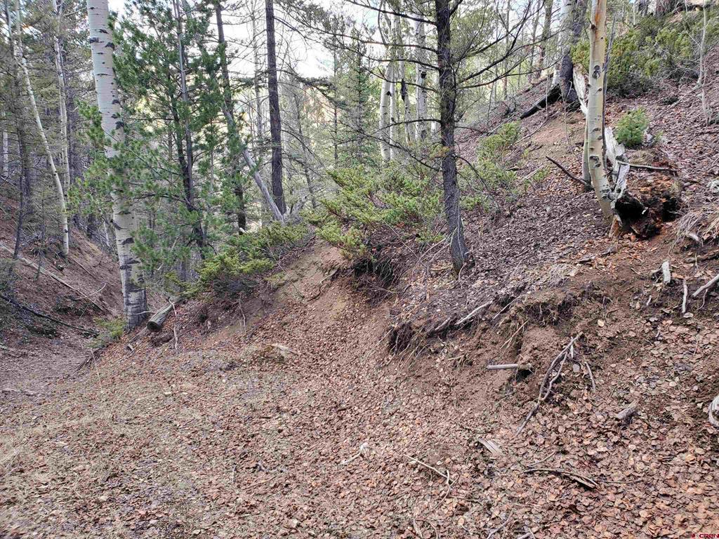 Land in Fort Garland 4