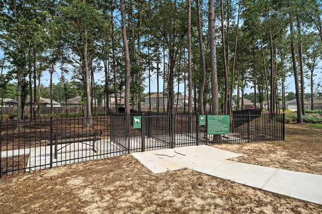 16314 Airborne Arch Lane, House other with 3 bedrooms, 2 bathrooms and 2 parking in Porter TX | Image 34