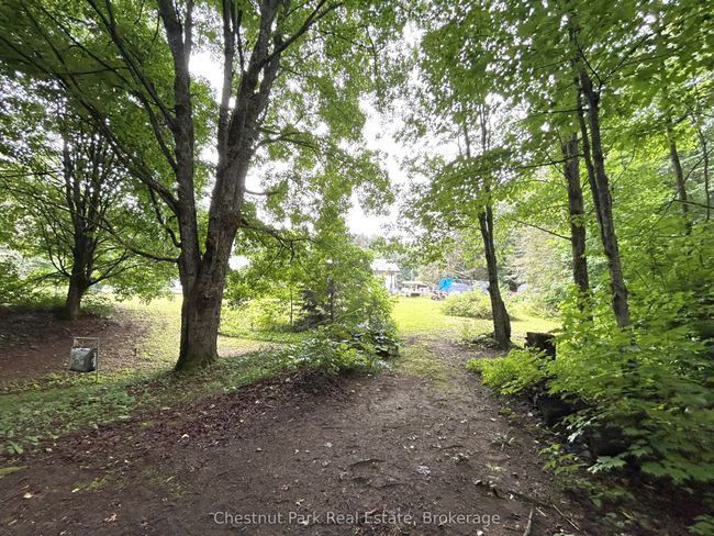 269 Old Muskoka Rd S, House other with 4 bedrooms, 2 bathrooms and 8 parking in Machar ON | Image 43