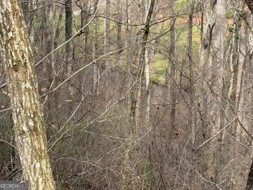 #15A Mossy Oak Dr, Hiawassee, GA, 30546 | Card Image
