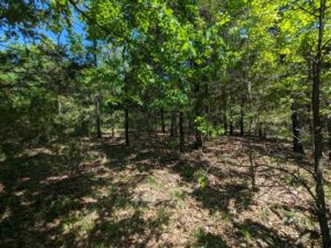 TBD 7A Spring Creek Trail, Home with 0 bedrooms, 0 bathrooms and null parking in Cecil AR | Image 6