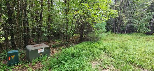 Lot 45 Old Mill Pond Rd, Mineral Bluff, GA, 30559 | Card Image