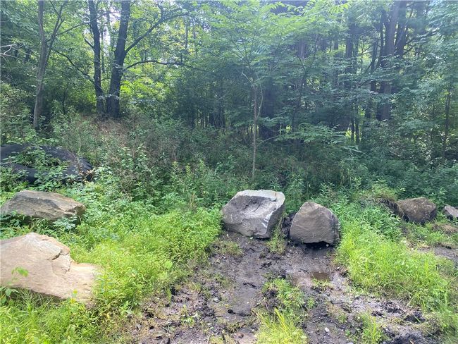 925 Haytown Rd, Home with 0 bedrooms, 0 bathrooms and null parking in Grampian PA | Image 5