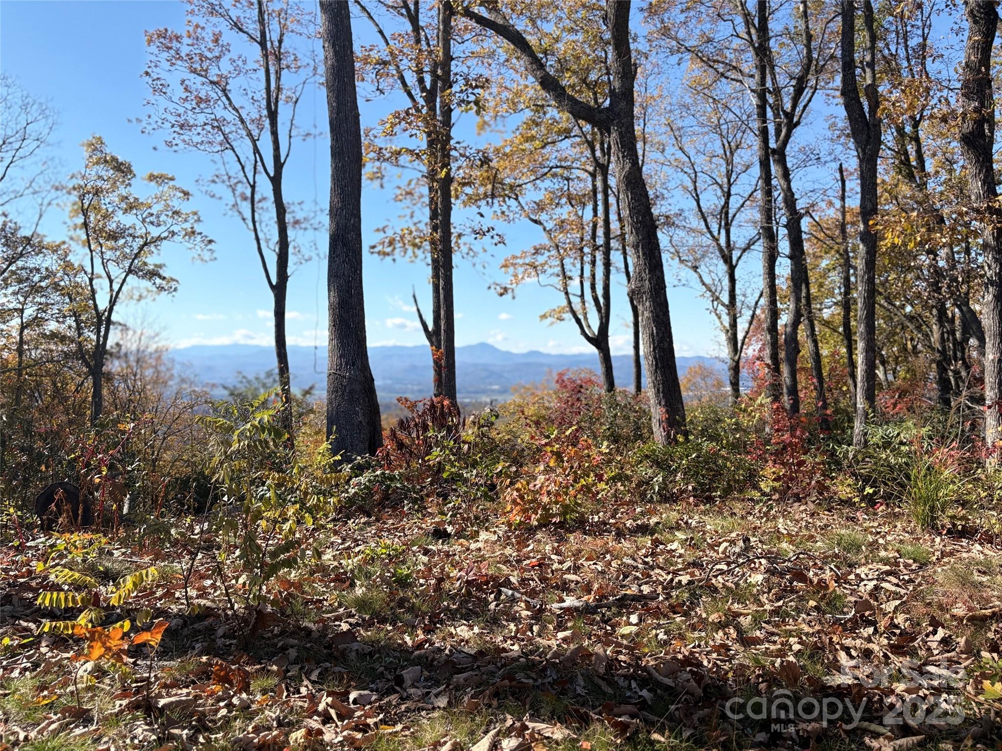 Land in Fletcher 2