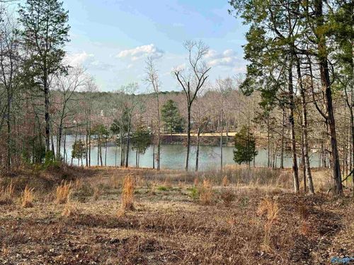1.48 Acres River Cliff Drive, Gadsden, AL, 35901 | Card Image