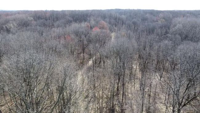 12100 Woodland Trl, Home with 0 bedrooms, 0 bathrooms and null parking in Davisburg MI | Image 13