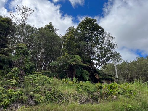 849- Lehuanani St, VOLCANO, HI, 96785 | Card Image