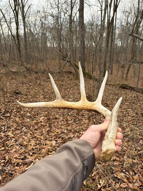 000 E Beal Rd, Dix, IL, 62830 | Card Image