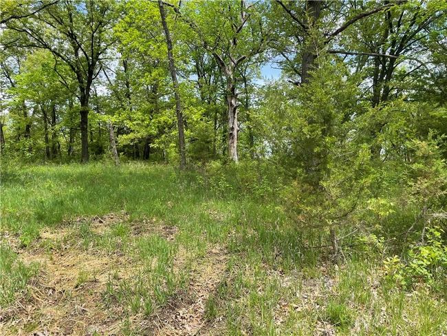 Lot 3038 Lake Viking Terrace, Home with 0 bedrooms, 0 bathrooms and null parking in Gallatin MO | Image 3