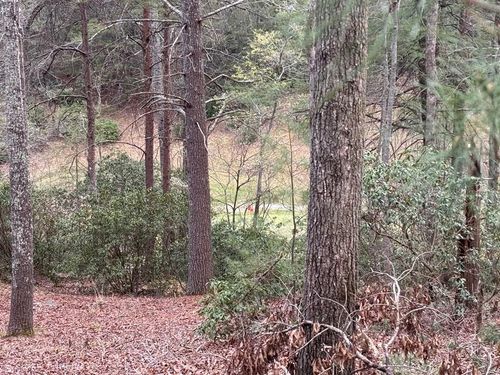 Lot 43 Seneca Dr, Ellijay, GA, 30540-2444 | Card Image