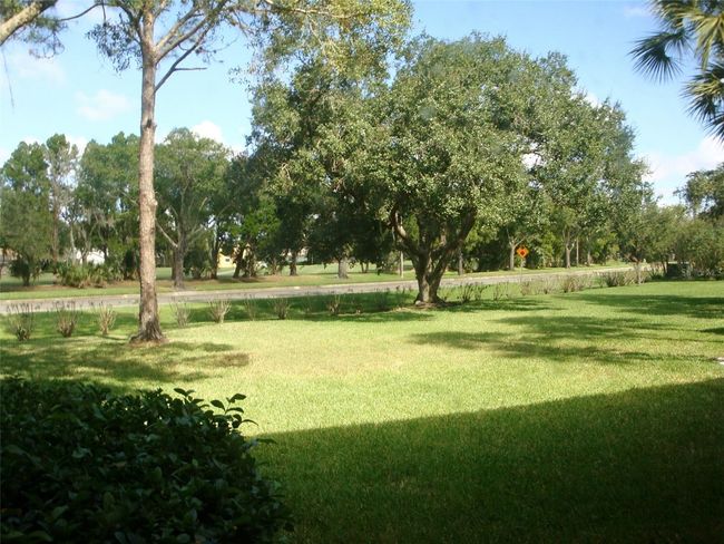 111 - 111 E Cypress Ct, Condo with 2 bedrooms, 2 bathrooms and null parking in OLDSMAR FL | Image 23