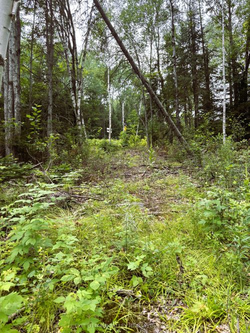 001 Siberia Rd, Barrys Bay, ON, K0J | Card Image