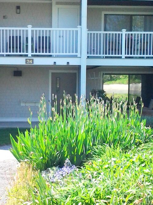 apt-19-24 Old Colony Way, Orleans, MA, 02653-3216 | Card Image