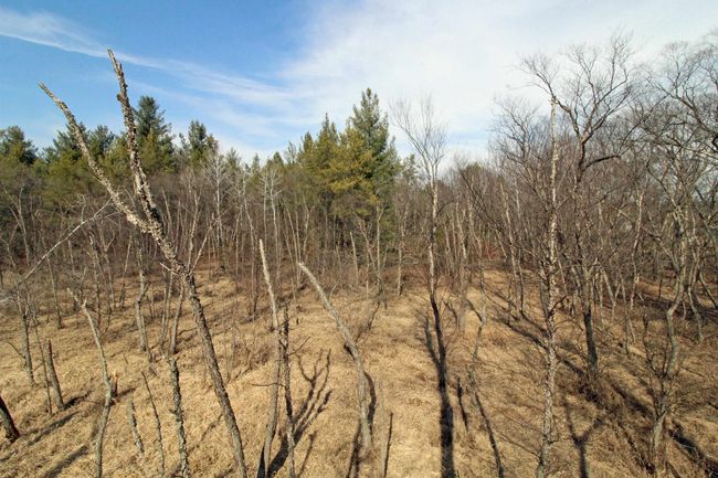 7750 Pine Rd, House other with 3 bedrooms, 2 bathrooms and null parking in ARENA WI | Image 50