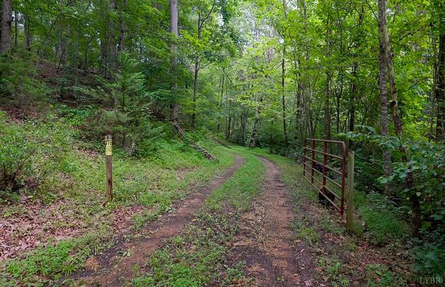 0 Allens Creek Rd, Home with 0 bedrooms, 0 bathrooms and null parking in GLADSTONE VA | Image 4