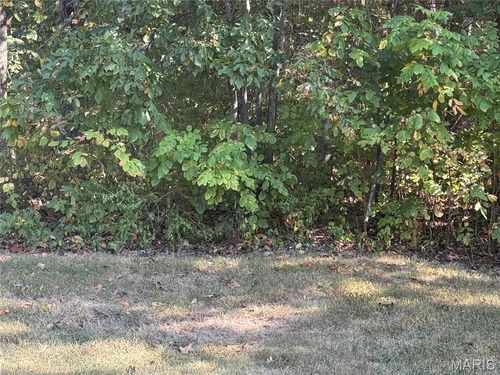 0B Saint Francois Rd, Bonne Terre, MO, 63628 | Card Image