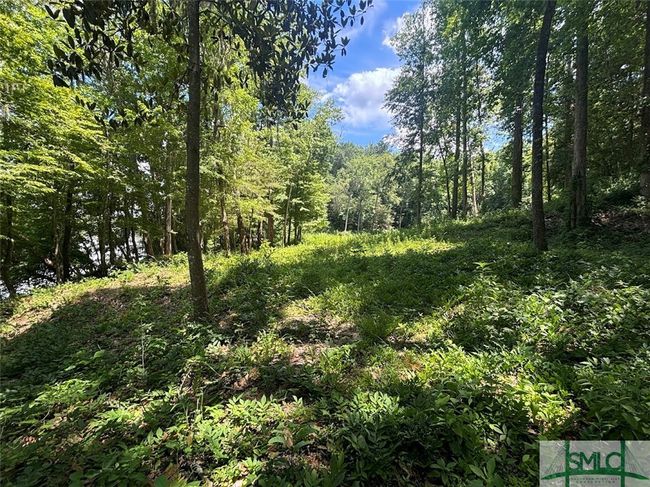 South end plateau | Image 25