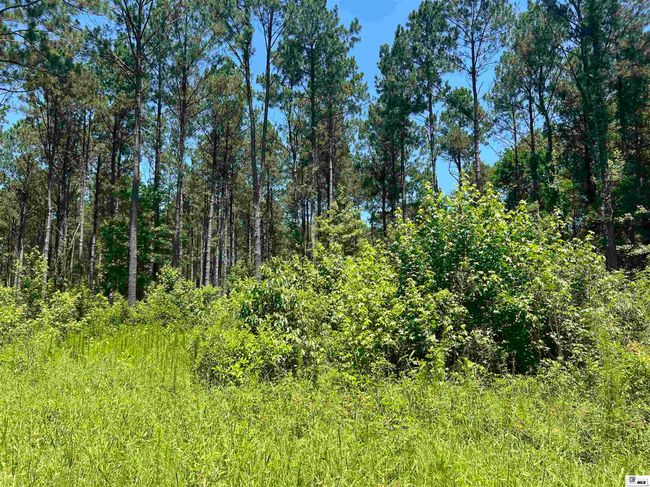 000 Highway 146, Home with 0 bedrooms, 0 bathrooms and null parking in Ruston LA | Image 8