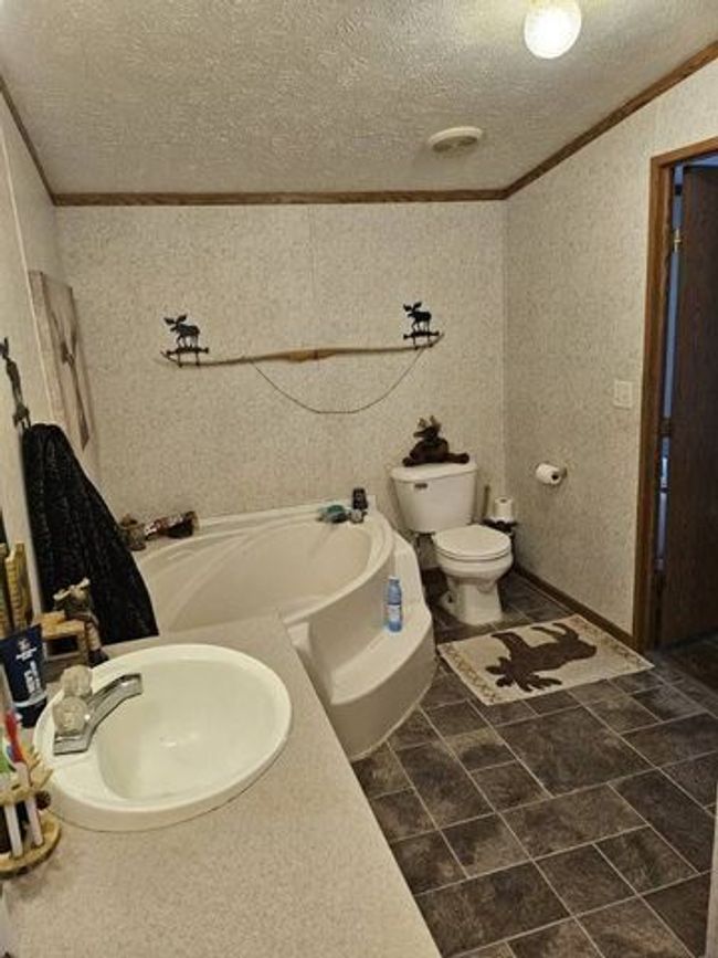 1650 Murray Rd, House other with 4 bedrooms, 3 bathrooms and null parking in Dansville MI | Image 11