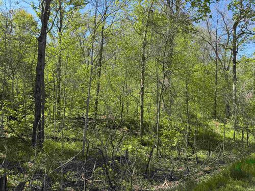 TBD Cleveland Rd, South Whitley, IN, 46787 | Card Image
