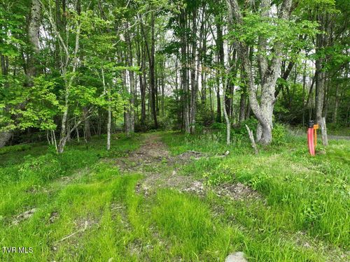 1776 Ripshin Mountain Rd, Roan Mountain, TN, 37687-3758 | Card Image