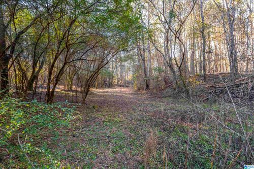 1-2040 Brookside Rd, MOUNT OLIVE, AL, 35117-3503 | Card Image