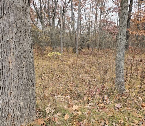 V/L Woodbridge Drive, Bitely, MI, 49309 | Card Image