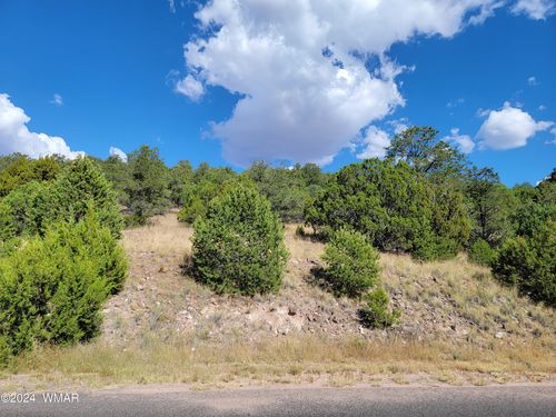 Lot 11 Spruce Ln, Eagar, AZ, 85925 | Card Image